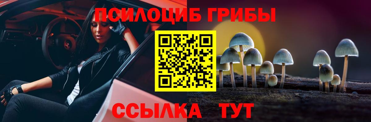 Лабытнанги  Псилоцибиновые грибы Psilocybe  Вход с VPN 